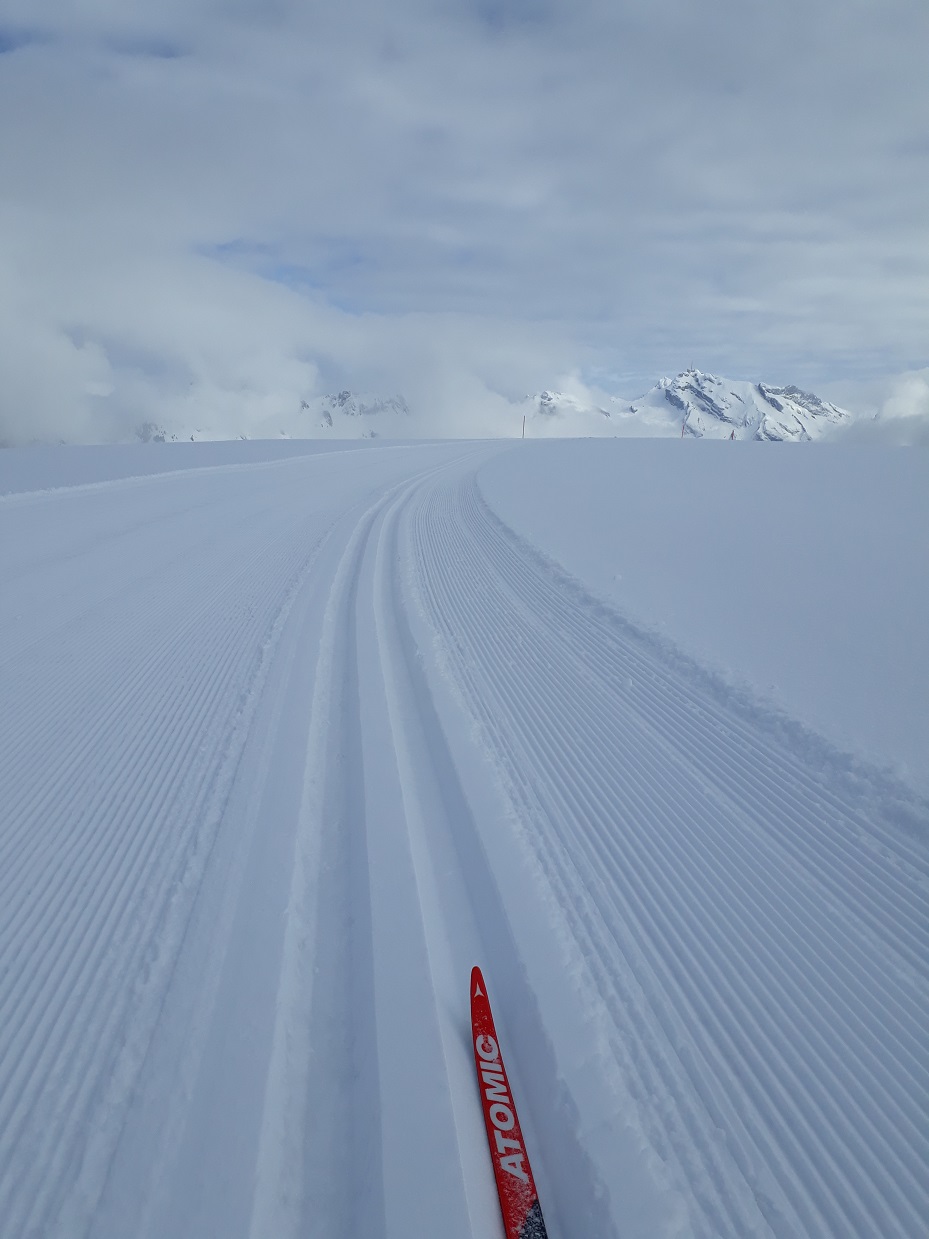 Thurtalerstoffel mit Sicht auf den Säntis.