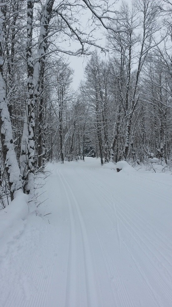 Nordisch, kalt, verschneit.