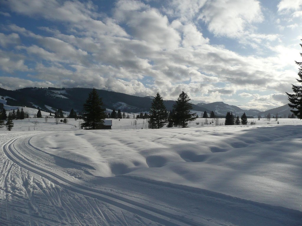 Hochmoor-Landschaft