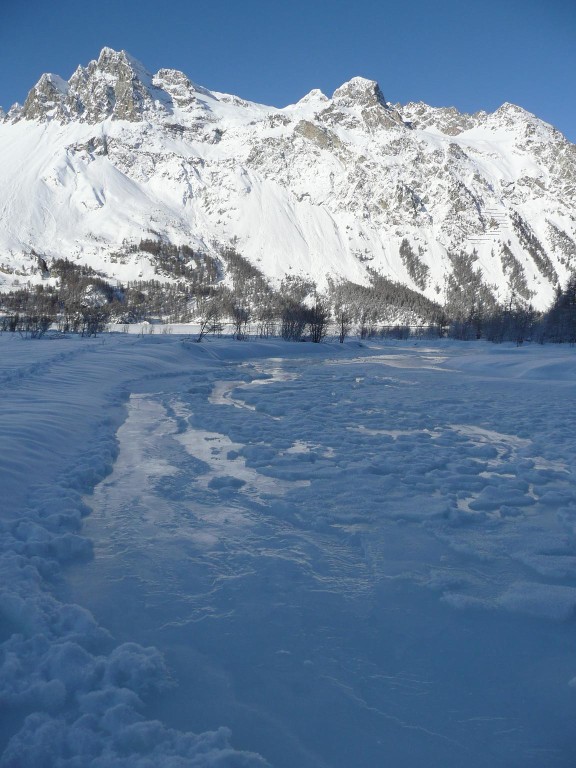 Seegfröni