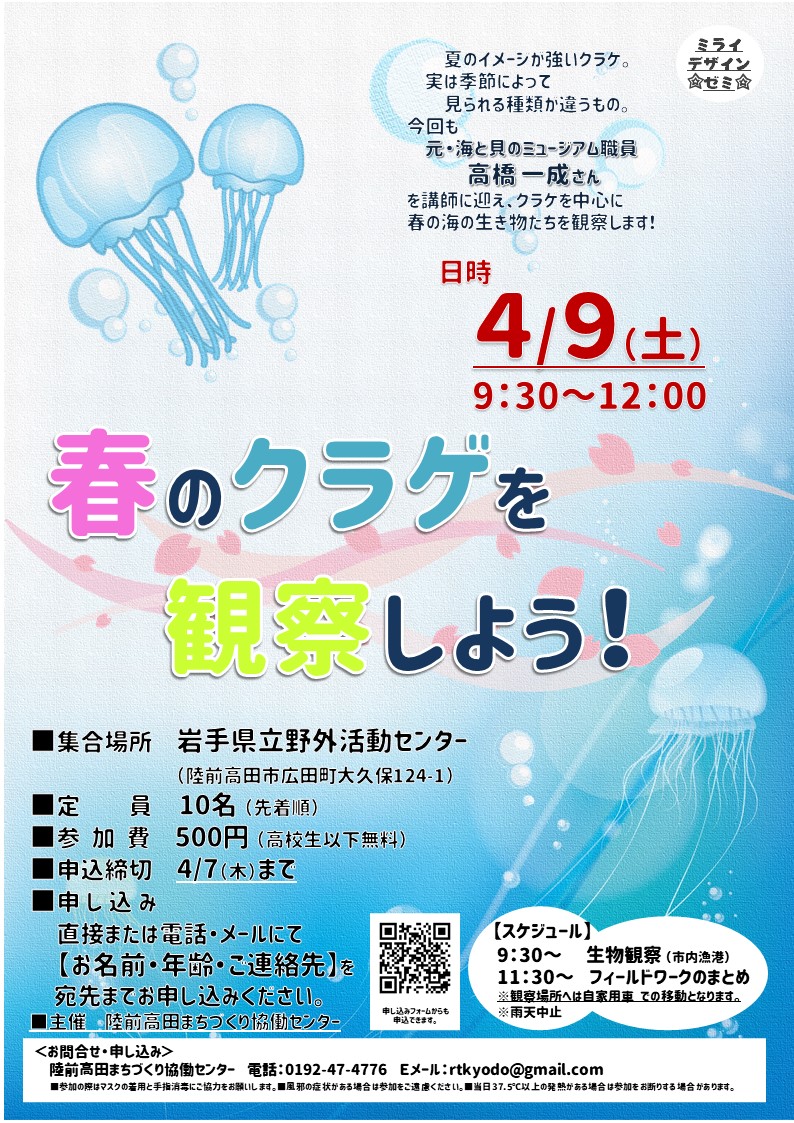 春のクラゲを観察しよう！