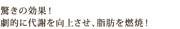 驚きの効果! 劇的に代謝を向上させ、脂肪を燃焼!