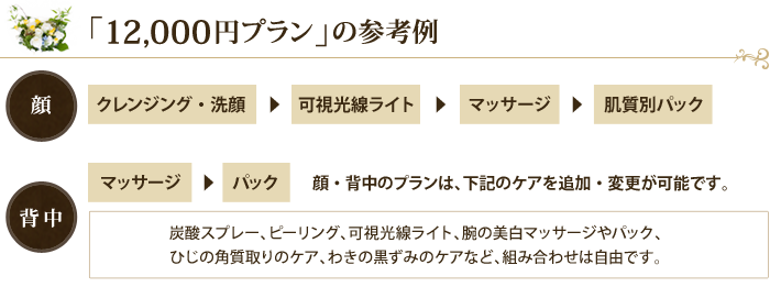 12,000円プラン
