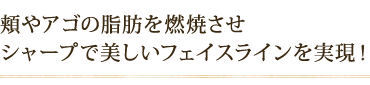 頬やアゴの脂肪を燃焼させ シャープで美しいフェイスラインを実現!