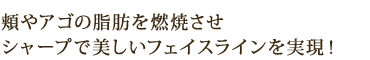 頬やアゴの脂肪を燃焼させ シャープで美しいフェイスラインを実現!