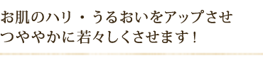 お肌のハリ・うるおいをアップさせ つややかに若々しくさせます!