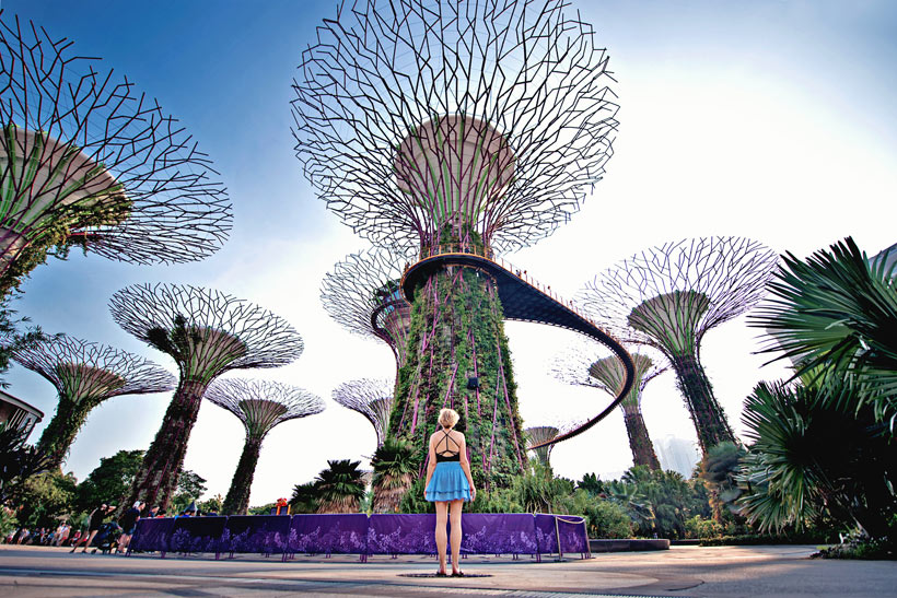 Supertree Grove at Gardens by the Bay | Best Places to Visit in Singapore in 3 Days | Things to do in Singapore | #singapore #supertrees #SG #travel 