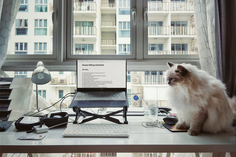 House Sitting Checklist for Pet Sitters – 50 Important Questions to Ask the Pet Owner