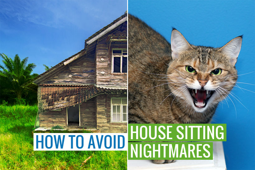 How to Avoid House Sitting Nightmares – 10 Questions to Ask Before Confirming a House Sit