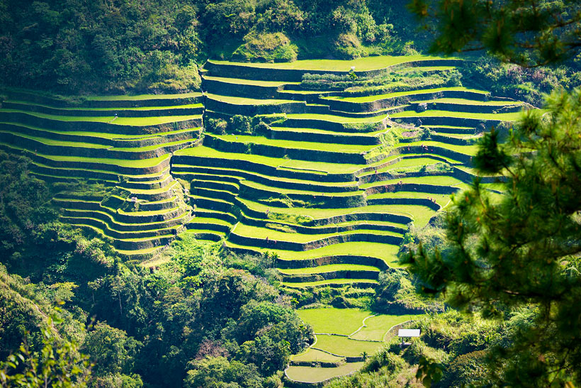 Rice Terraces in Banaue | Top 10 Things to do in the Philippines | via @Just1WayTicket