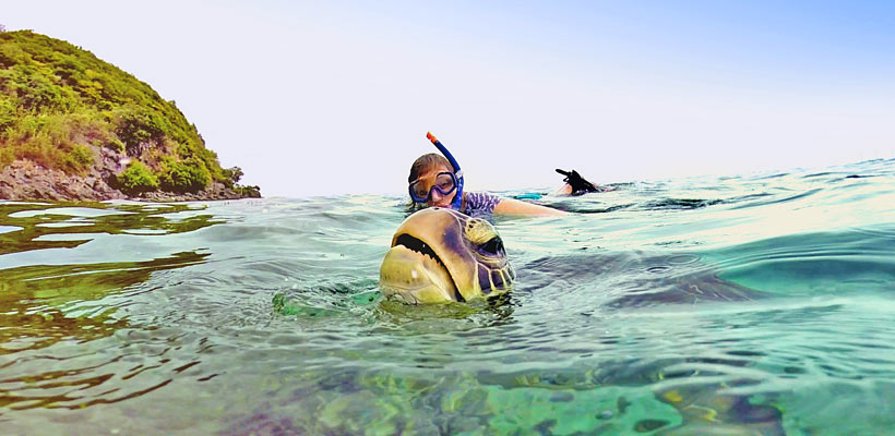 This is me. And a turtle, gasping for air. Photo taken in Apo Island, Philippines @Just1WayTicket