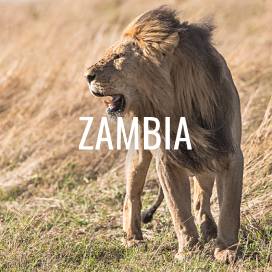 Zambia