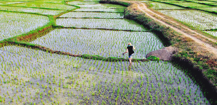 ...getting lost in a rice field in Hampi (Karnataka), India 2012 @Just1WayTicket