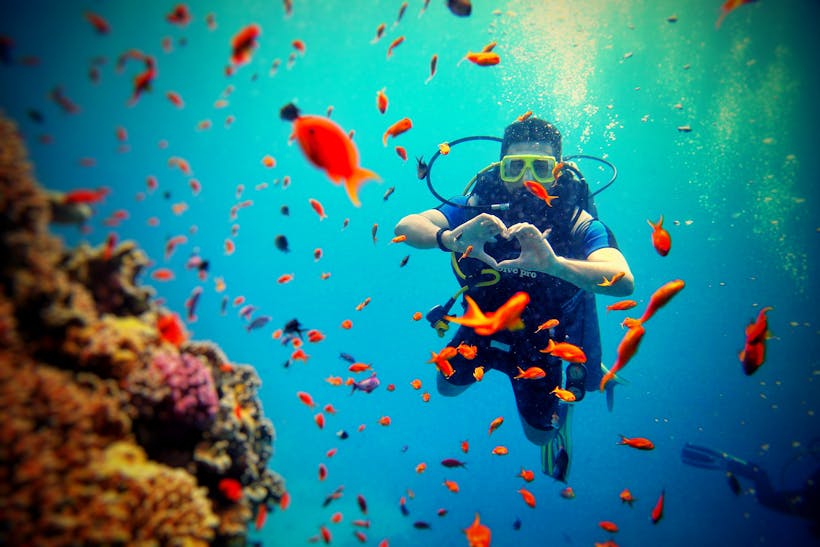 The Valentina's Dive Deck: A Guide to Onboard Camera and Gear Facilities