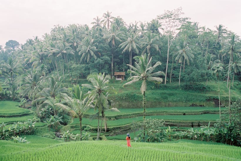 Ultimate 10-Day Bali Itinerary (2026 Guide): Temples, Rice Terraces, Waterfalls & Island Life