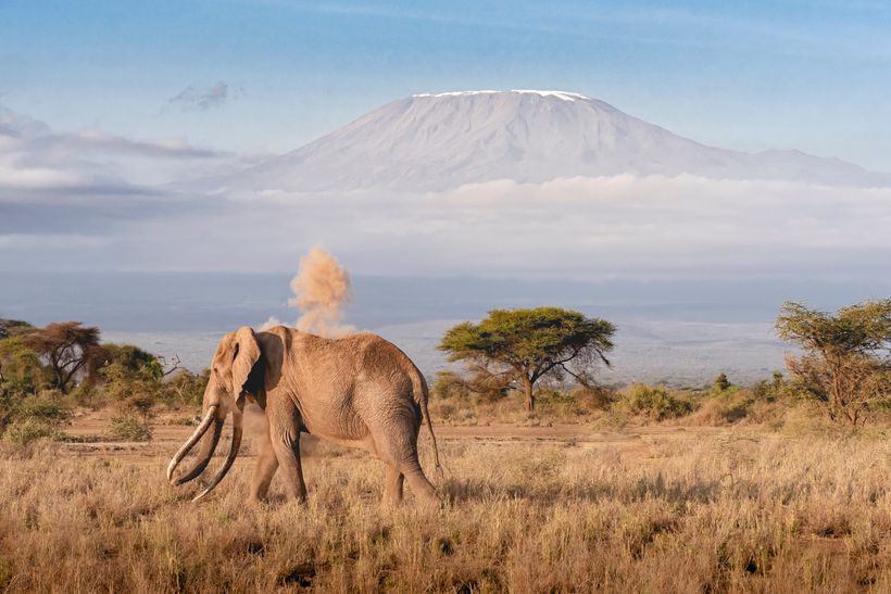 How Climbing Kilimanjaro Changes the Way People View Achievement