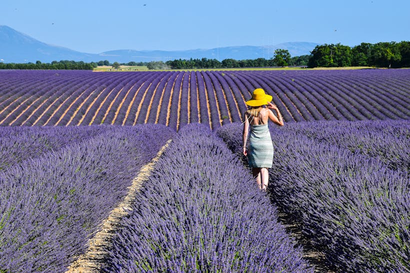 Seasonal Adventures in France: The Best Times To Visit Different Regions