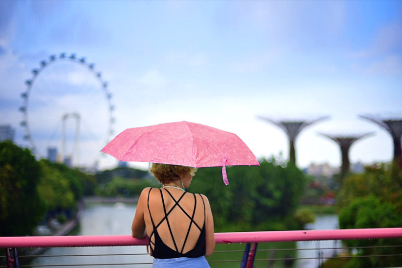 Gardens by the Bay - Best Things to do and Places to see in Singapore's Wonder Park