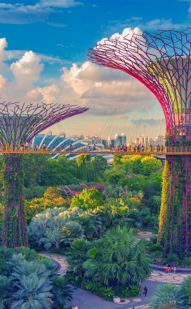 Best Places to Visit in Singapore in 3 Days | Things to do in Singapore | #singapore #SG #travel #supertrees