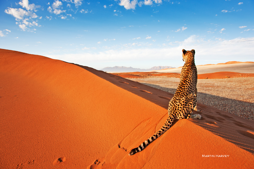 Travel Guide To Namibia - The Most Surreal Country You Will Ever Visit