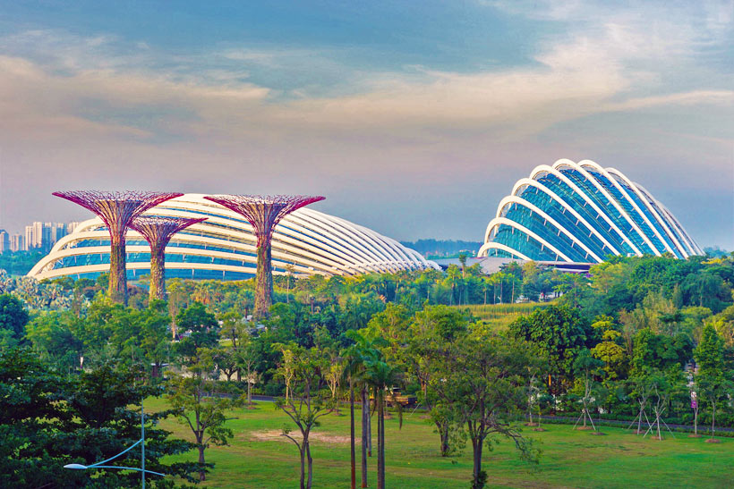 Gardens by the Bay | Best Places to Visit in Singapore in 3 Days | Things to do in Singapore | #singapore #SG #travel #supertrees #gardensbythebay #supertreegrove