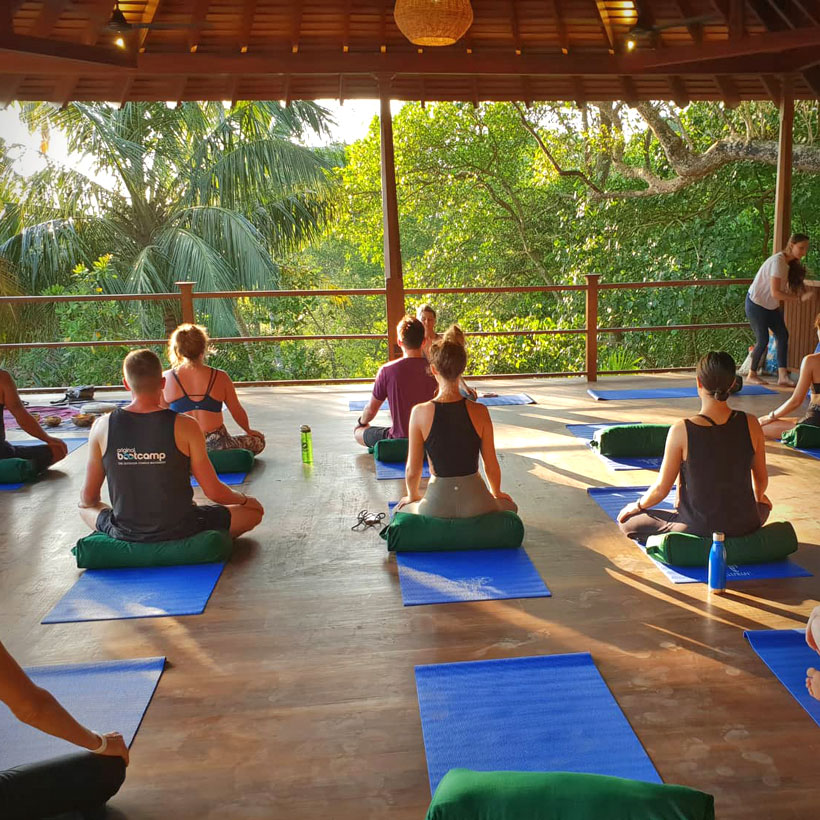 Salty Pelican | Best Wellness and Yoga Retreats in Sri Lanka