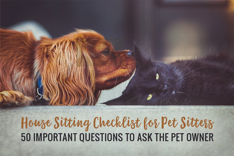 House Sitting Checklist for Pet Sitters  – 50 Important Questions to Ask the Pet Owner