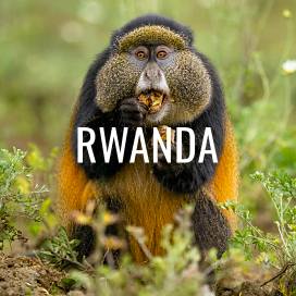 Rwanda