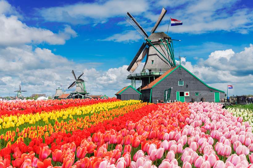 What to see and do in the Netherlands in one week