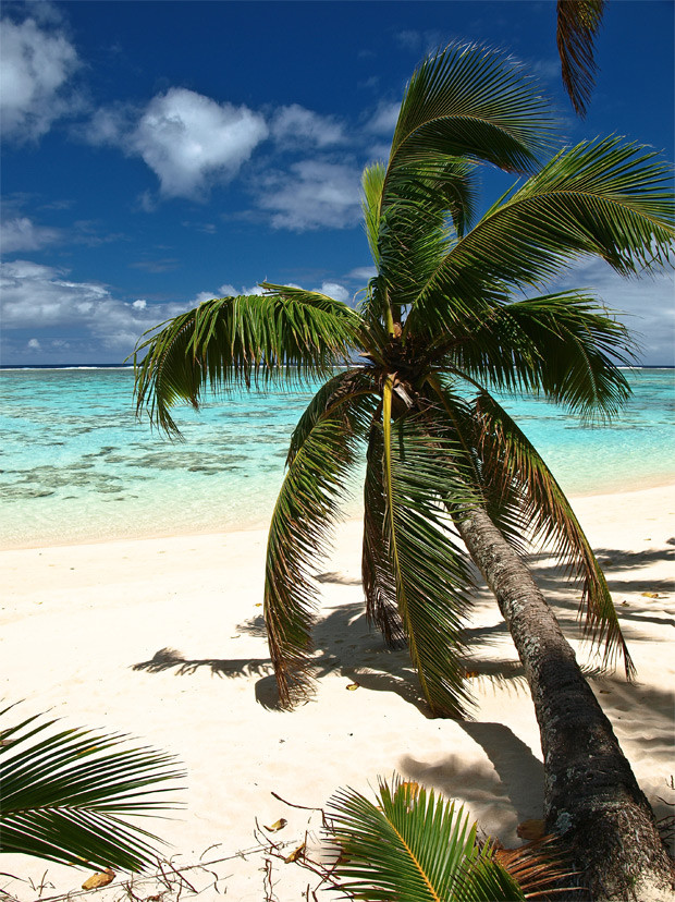 Tapuaetai "One Foot" Island - Aitutaki Atoll - Cook Islands © e t d j t™ pictures / Patrick Jaussi