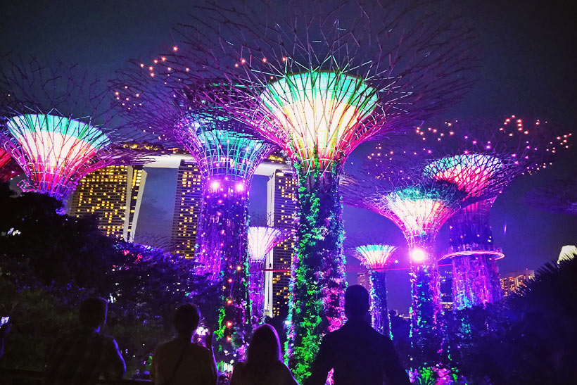 Suoertree Grove at Gardens by the Bay | Best Places to Visit in Singapore in 3 Days | Things to do in Singapore | #singapore #SG #travel #supertrees #gardensbythebay #supertreegrove