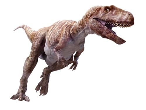 Primer fósil de dinosaurio en España