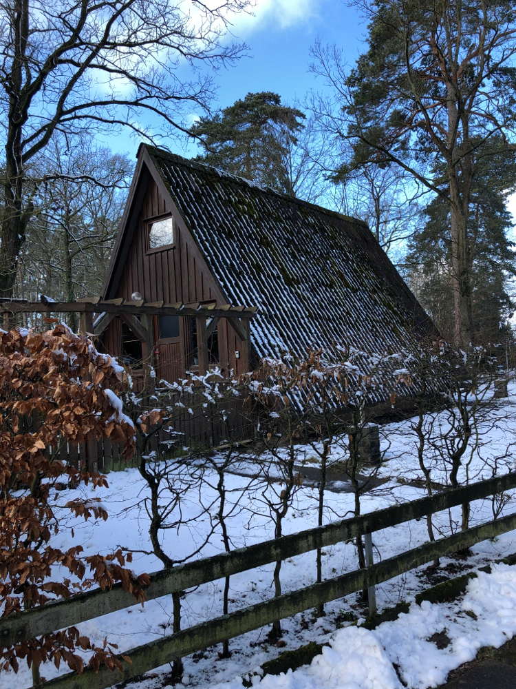 im Winter 