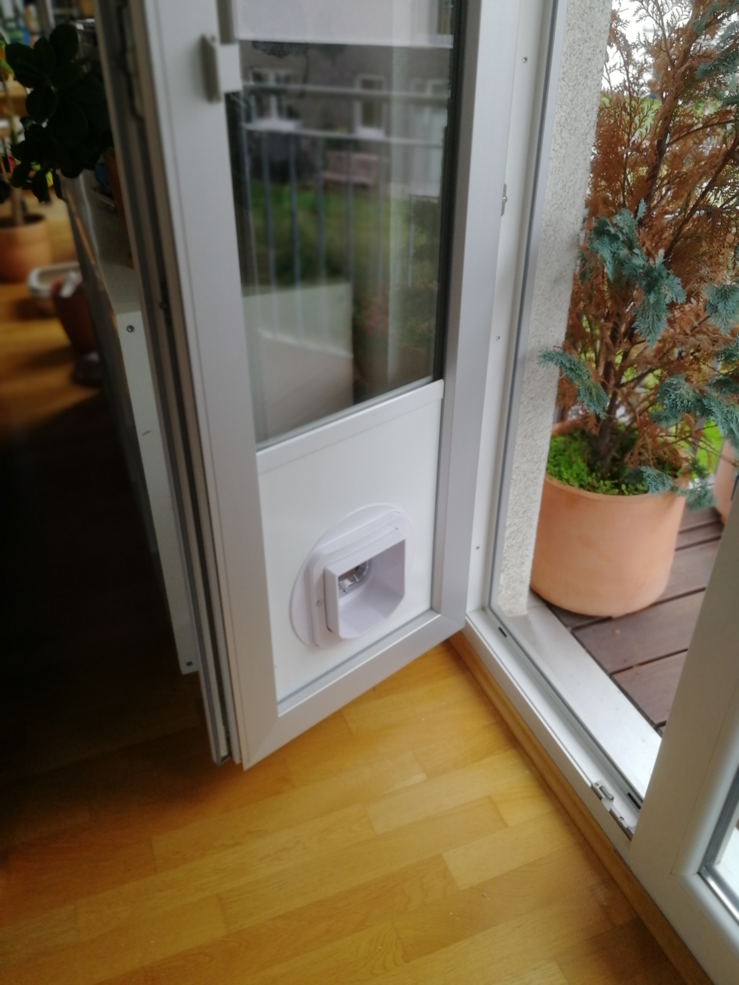 Katzenklappe für Fenster nach Maß Glaser Berlin
