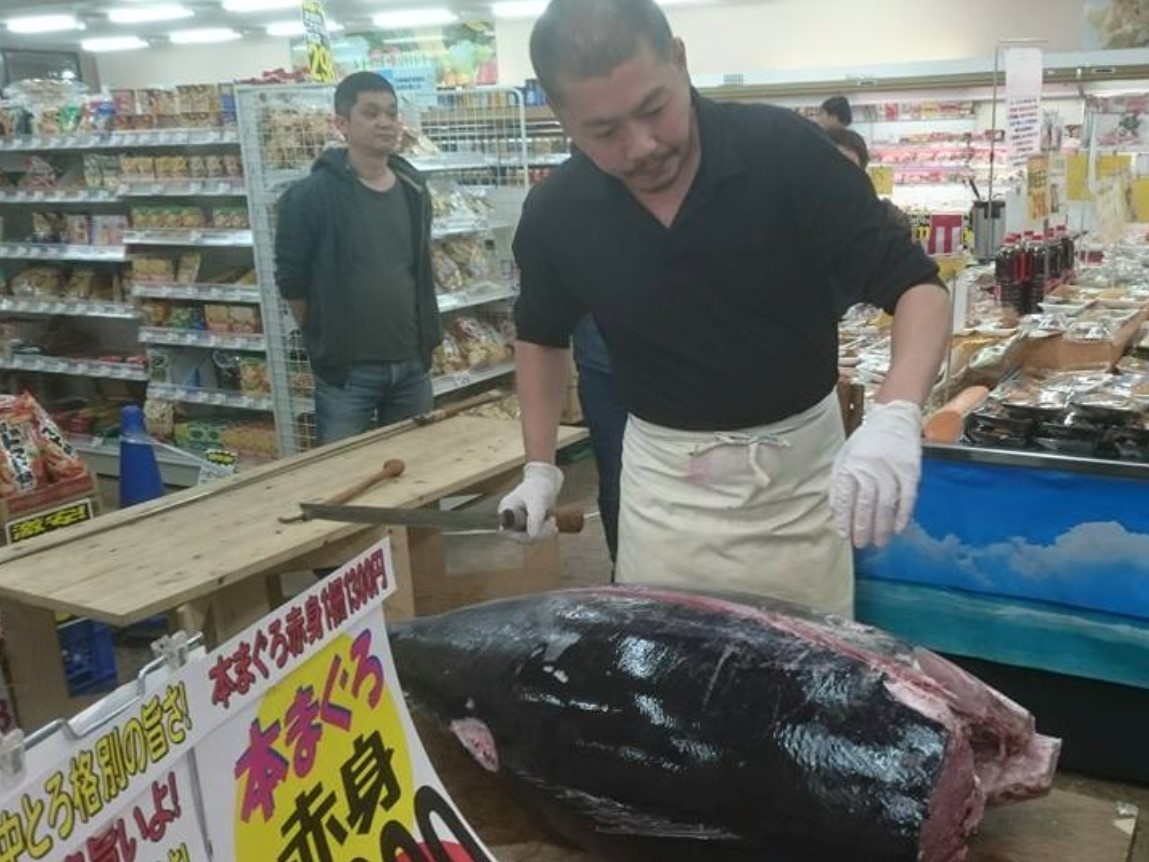 本マグロ解体ショー とまと市場のホームページ