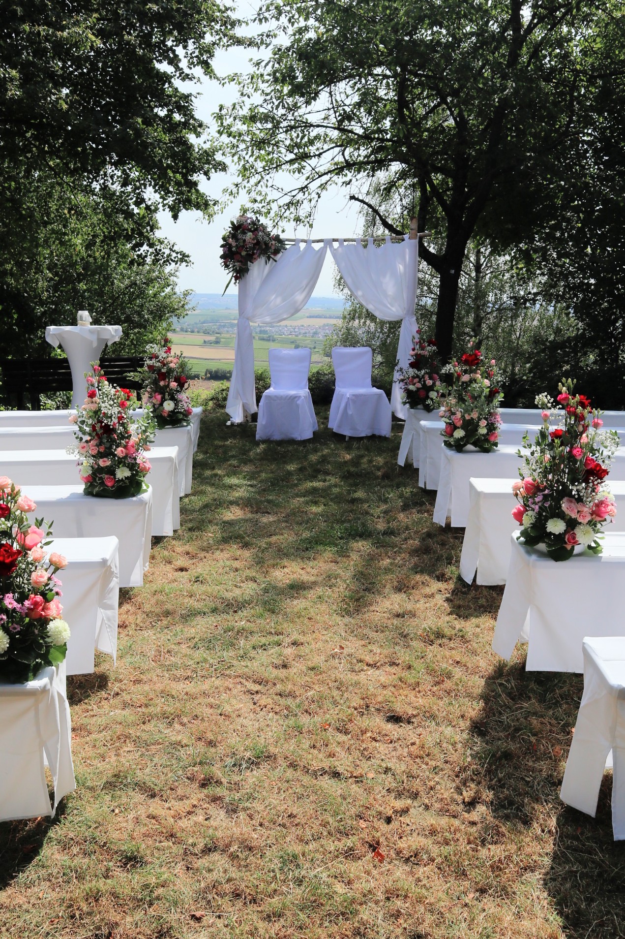 Traubogen Heuchelberger Warte