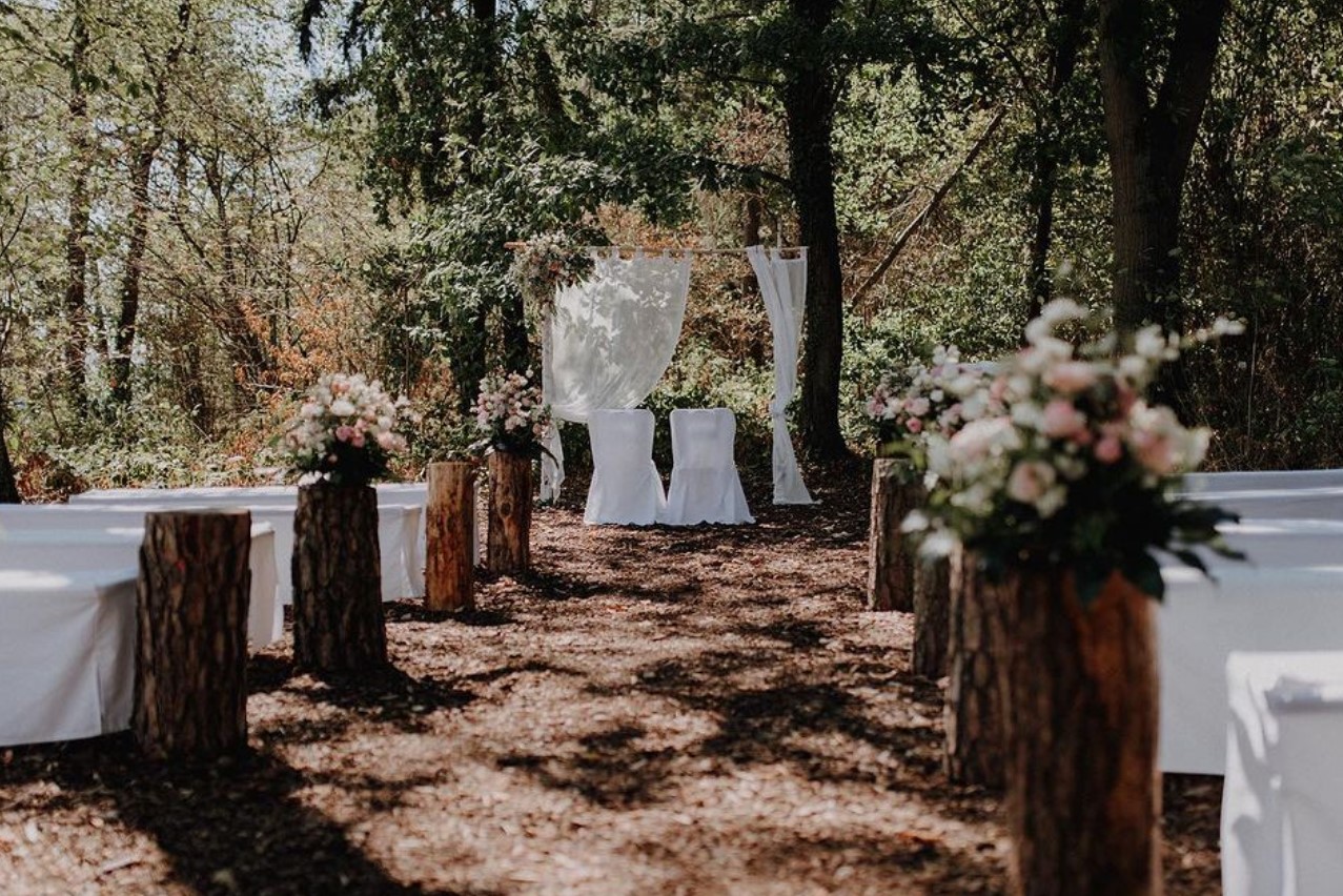 Traubogen Heuchelberger Warte