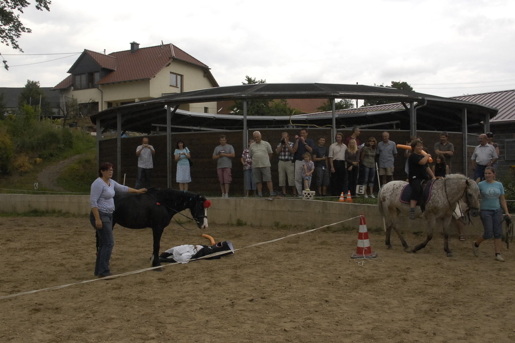 ... doch schnell war er von Ritter Rost besiegt