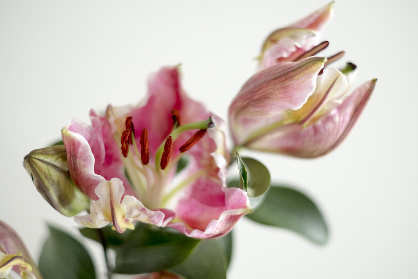 aktuelles - dark ideas | kursives denken