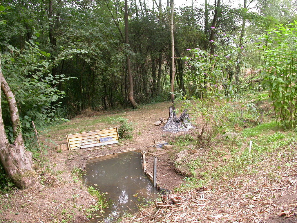 Le bassin au bas du terrain