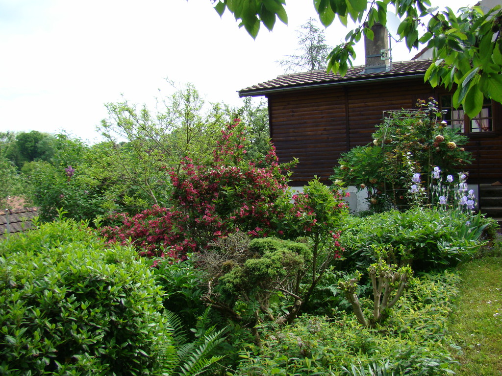 Le chalet au lilieu de la végétation