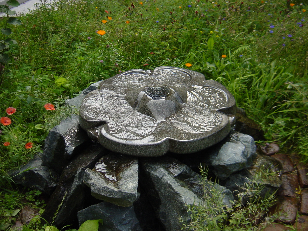 Flowform Rosette Ashdown im Garten