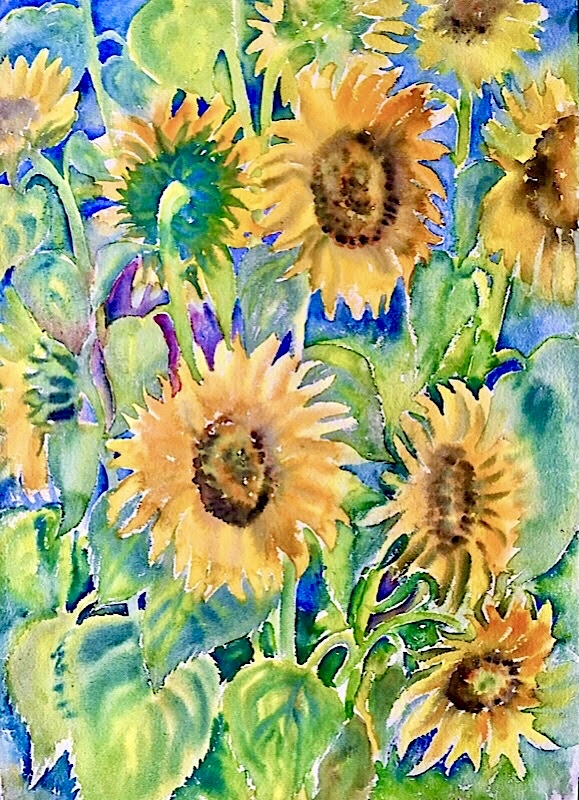 Sonnenblumen.Aquarell auf Papier 50/70.