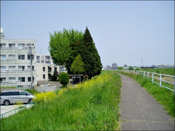 白杉稲荷遠景