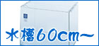 　└ 水槽　60cm～