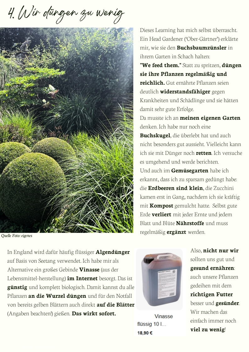 Buchsbaum und Stauden im englischen Garten – regelmäßiges Düngen stärkt Pflanzen, erhöht die Widerstandskraft gegen Schädlinge und fördert gesundes Wachstum im Zier- und Gemüsegarten.
