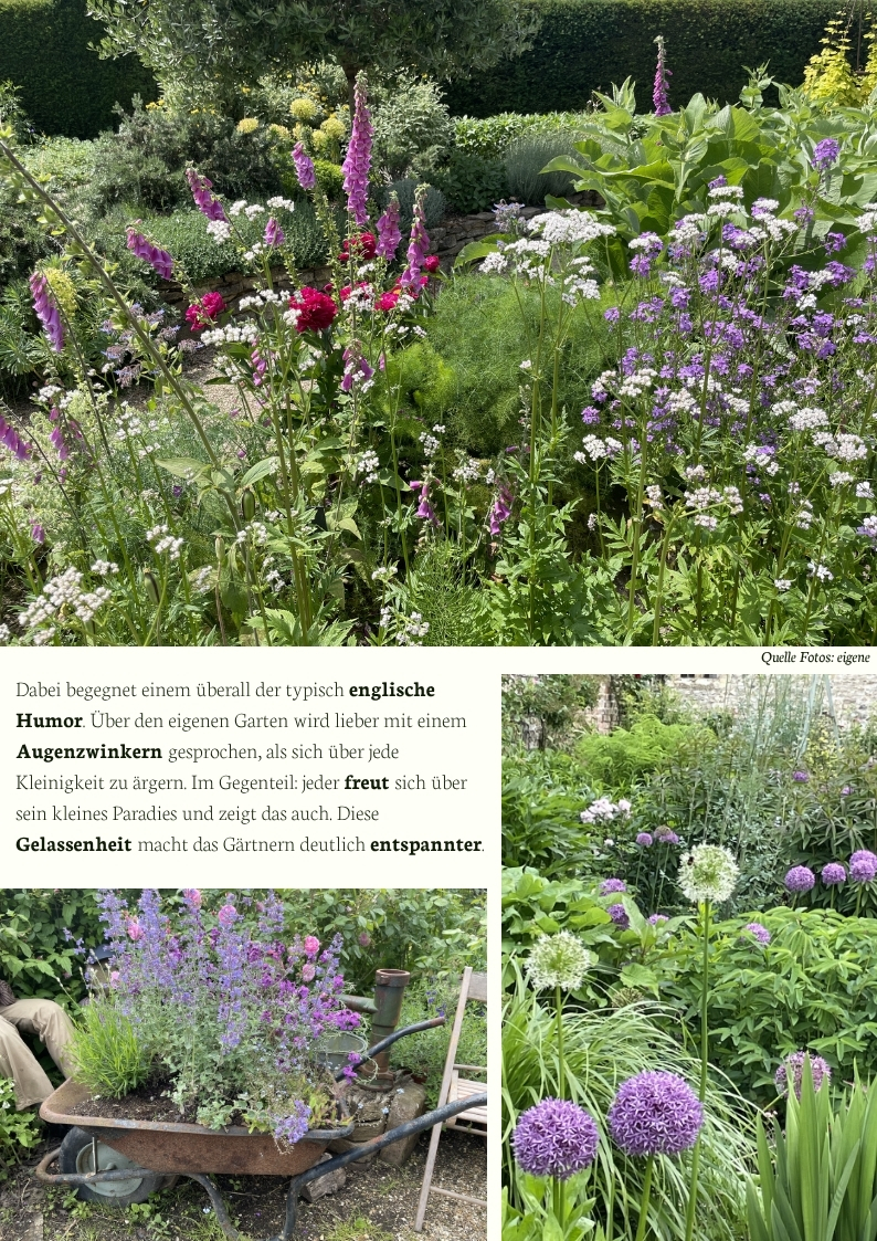Blühende englische Staudenbeete mit Fingerhut, Zierlauch und naturnaher Bepflanzung – üppige Pflanzungen, entspannte Gartenkultur und farbenreiche Gartengestaltung im englischen Landhausstil.