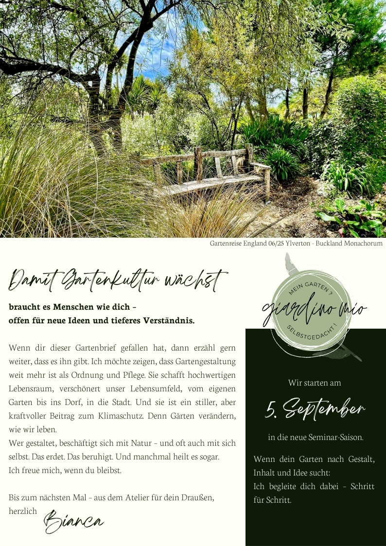 Inspiration aus englischen Gärten – Naturraum mit Holzbank, Gräsern und mediterraner Bepflanzung in Yelverton