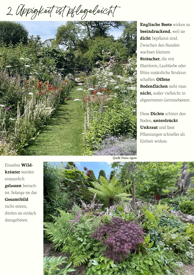 Üppig bepflanzter englischer Staudengarten mit Stauden, Sträuchern und Farnen – dichte Pflanzung unterdrückt Unkraut, schützt den Boden und sorgt für pflegeleichte Gartengestaltung.