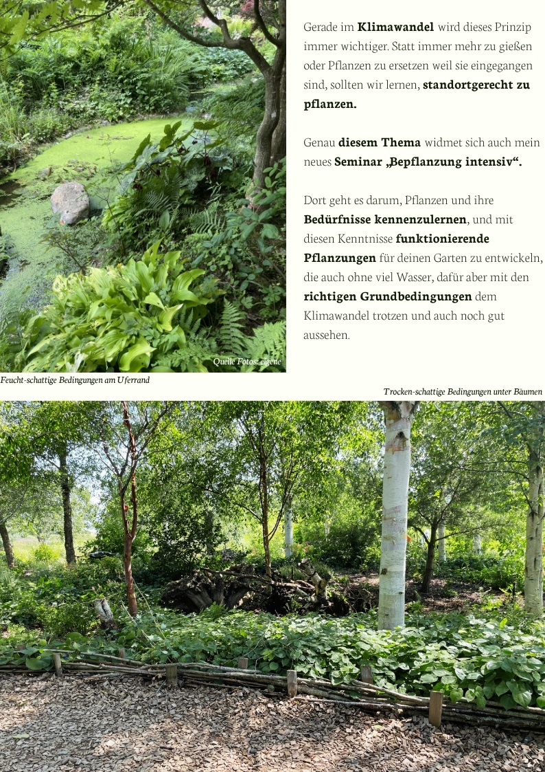 Standortgerechte Bepflanzung nach dem Prinzip „Right Plant, Right Place“ – feucht-schattige und trocken-schattige Gartenbereiche mit passenden Pflanzen für klimaresiliente und pflegeleichte Gartengestaltung.